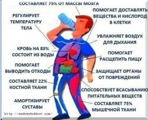 пить воду полезно для здороья